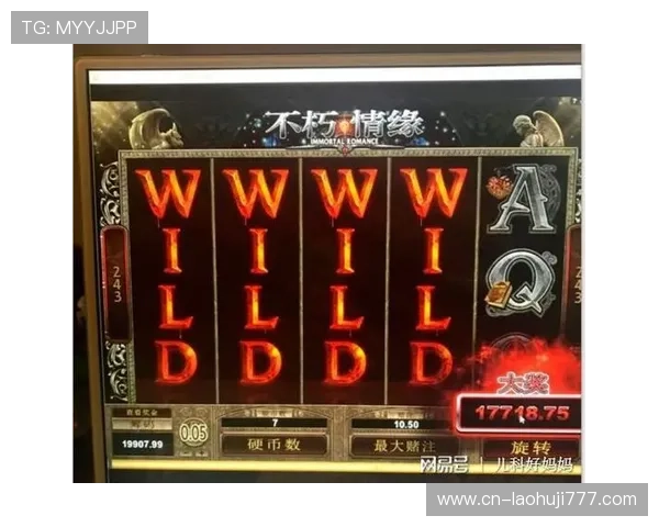 mg不朽情缘免费游戏推荐，结合玩法、画面和玩家口碑进行全面比较