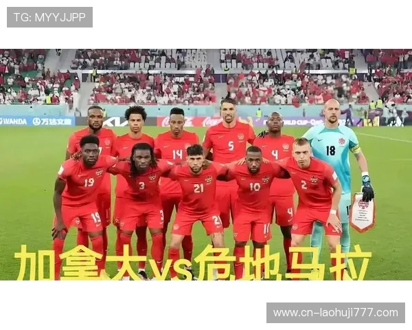 加拿大对阵波黑全场录像回放高清版，精彩瞬间一览无遗